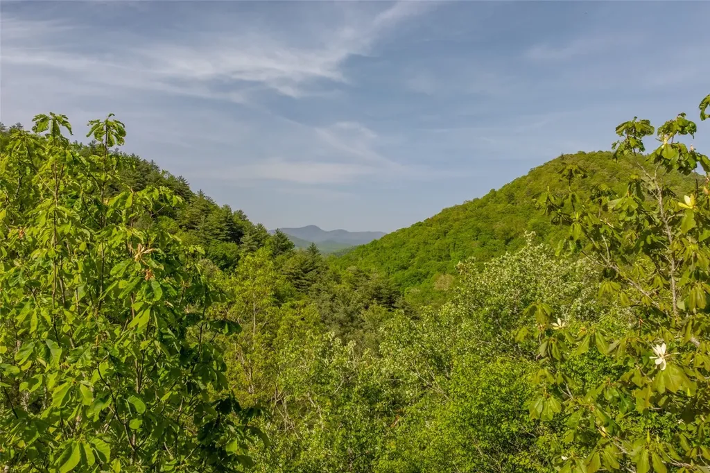 G110 Trimble Ridge Glenville NC 28736