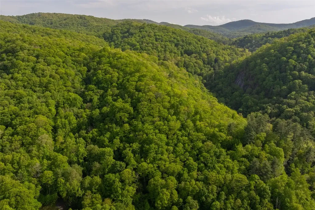 G110 Trimble Ridge Glenville NC 28736