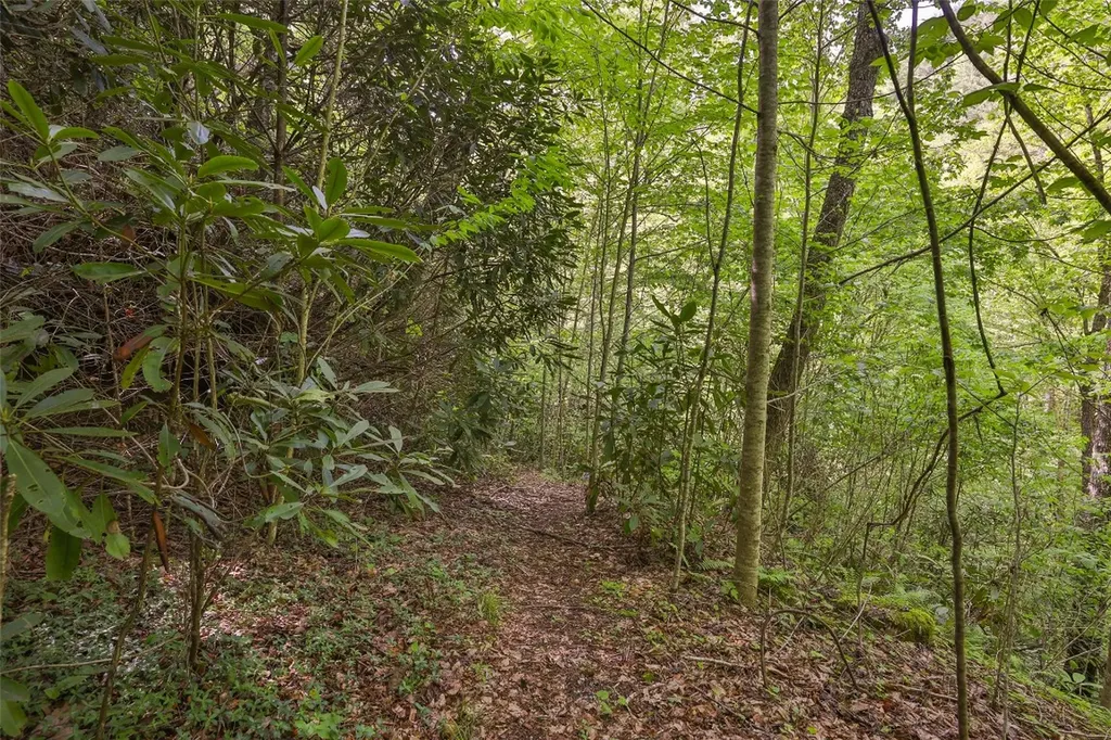 G110 Trimble Ridge Glenville NC 28736