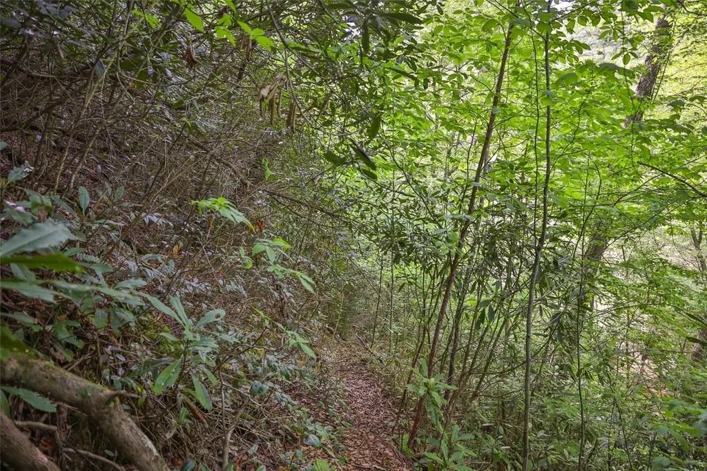 G110 Trimble Ridge Glenville NC 28736