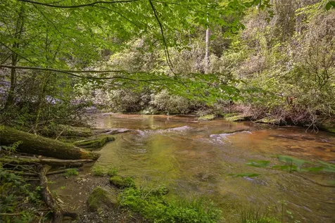 G110 Trimble Ridge Glenville NC 28736