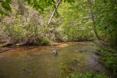 G110 Trimble Ridge Glenville NC 28736