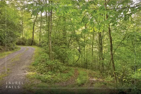 G110 Trimble Ridge Glenville NC 28736