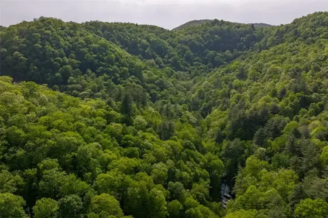 G110 Trimble Ridge Glenville NC 28736