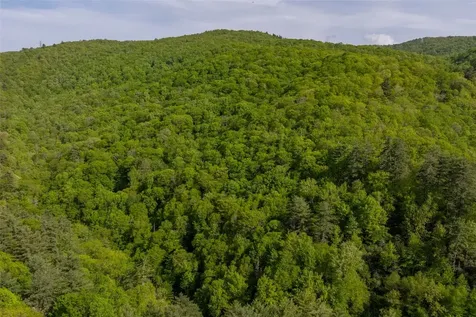 G110 Trimble Ridge Glenville NC 28736