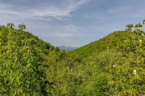 G110 Trimble Ridge Glenville NC 28736