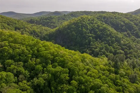 G110 Trimble Ridge Glenville NC 28736