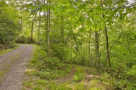 G110 Trimble Ridge Glenville NC 28736