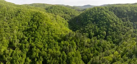 G110 Trimble Ridge Glenville NC 28736