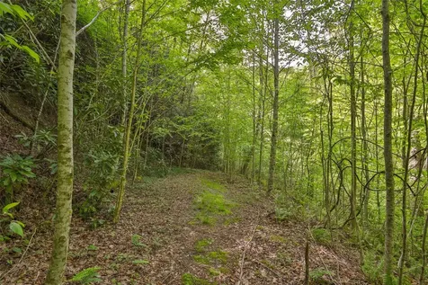 G110 Trimble Ridge Glenville NC 28736