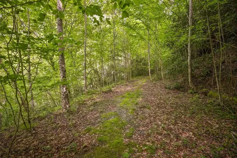 G110 Trimble Ridge Glenville NC 28736