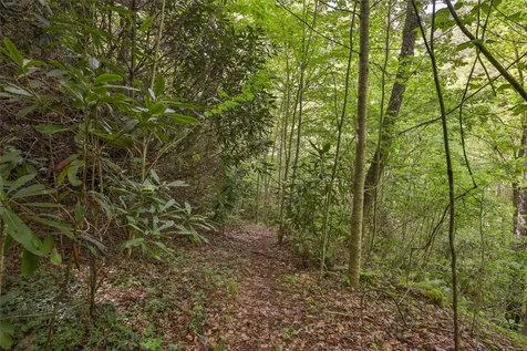 G110 Trimble Ridge Glenville NC 28736