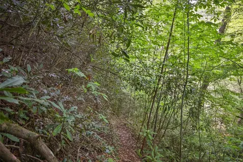 G110 Trimble Ridge Glenville NC 28736