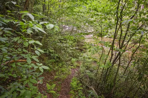 G110 Trimble Ridge Glenville NC 28736