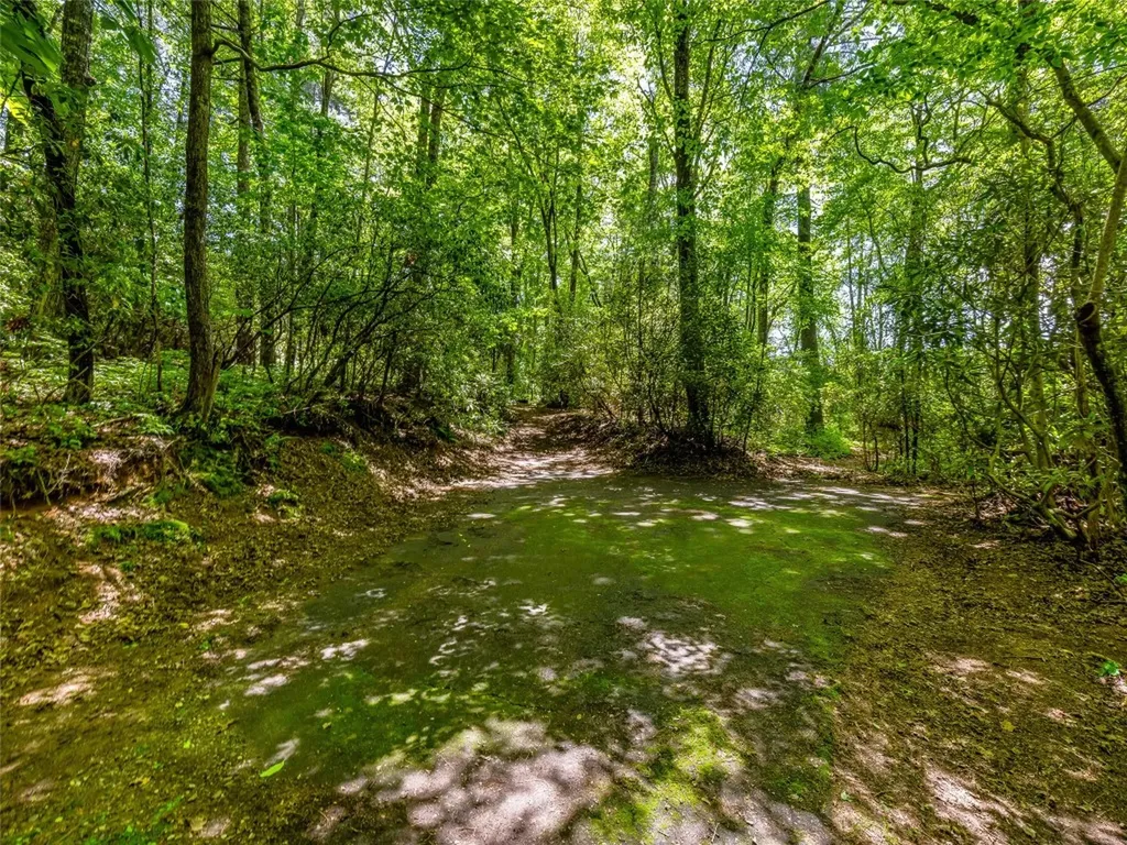 J 33 Cherokee Point Lake Toxaway NC 28747