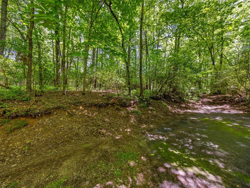 J 33 Cherokee Point Lake Toxaway NC 28747