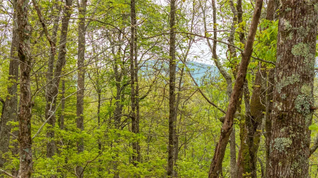 63/64 Valley View Trail Glenville NC 28736