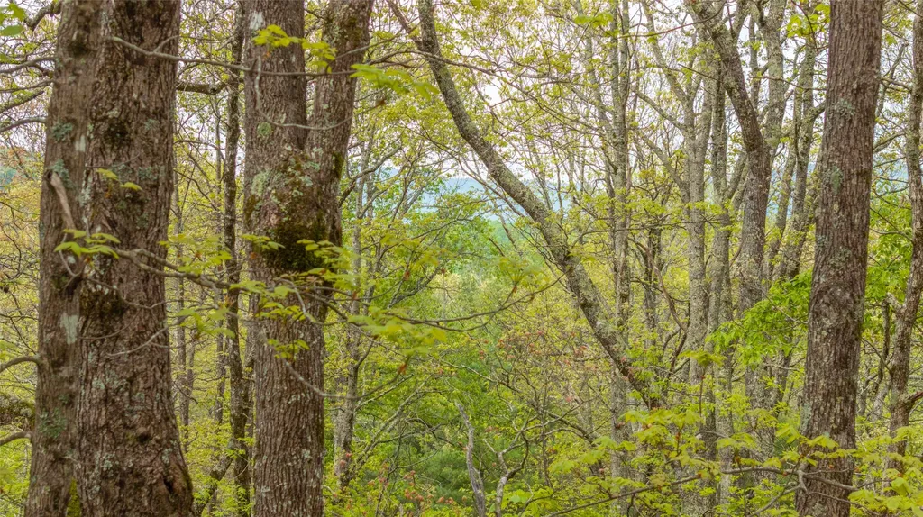 63/64 Valley View Trail Glenville NC 28736