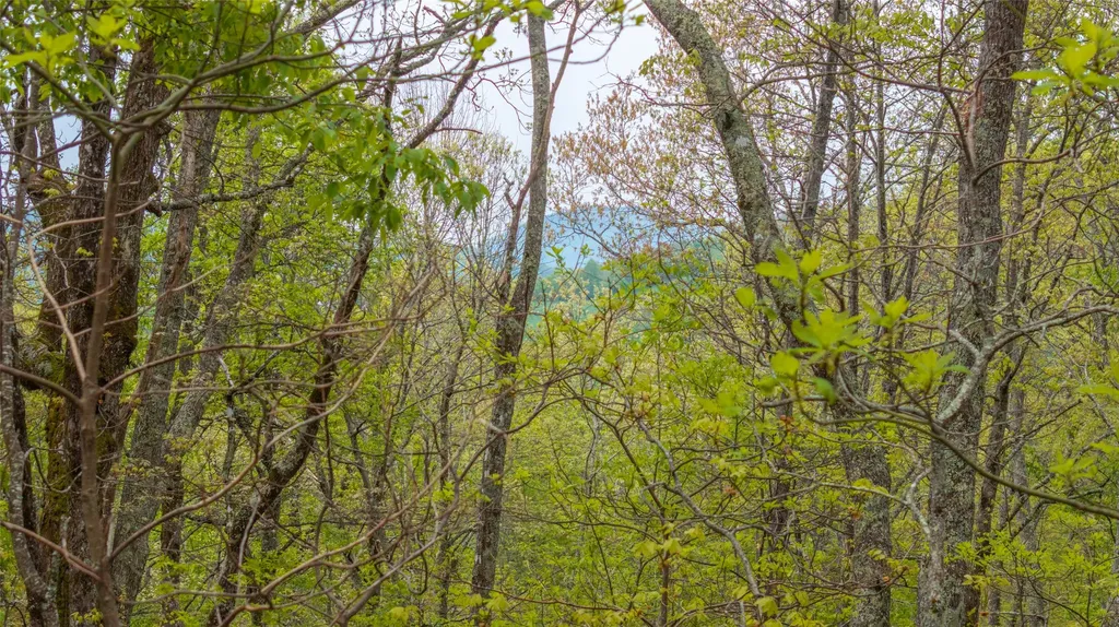 63/64 Valley View Trail Glenville NC 28736