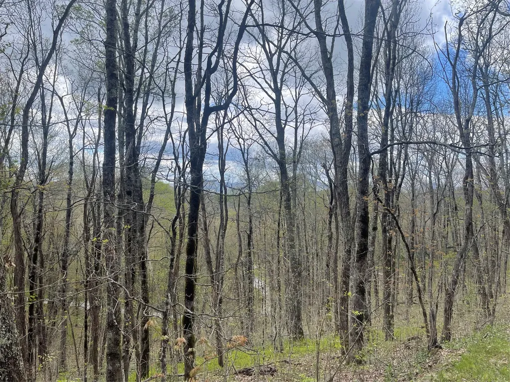 63/64 Valley View Trail Glenville NC 28736