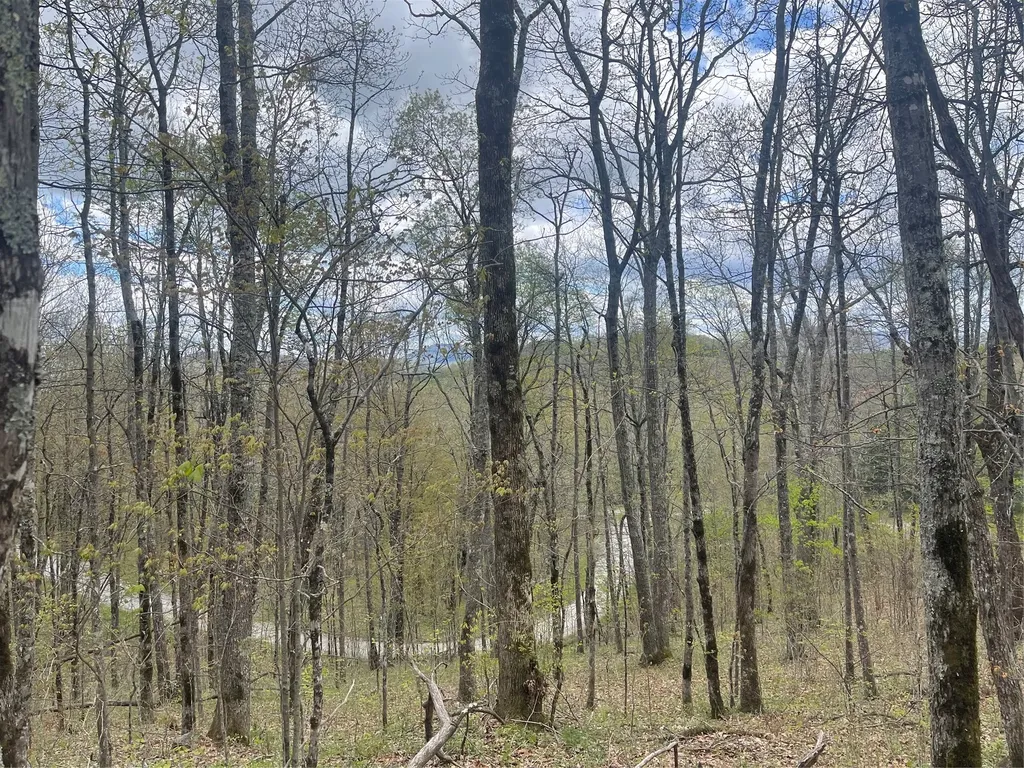 63/64 Valley View Trail Glenville NC 28736