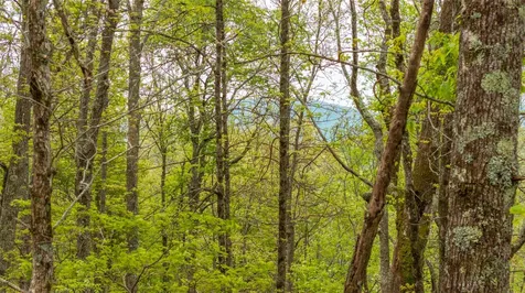 63/64 Valley View Trail Glenville NC 28736