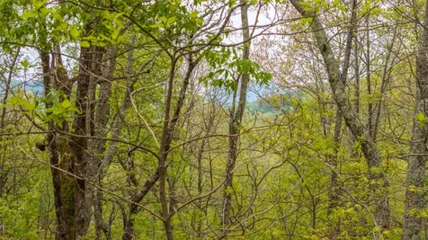 63/64 Valley View Trail Glenville NC 28736