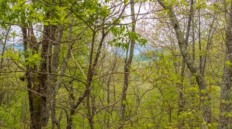 63/64 Valley View Trail Glenville NC 28736