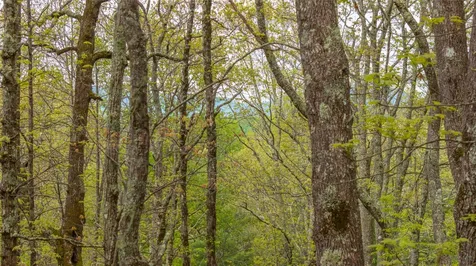 63/64 Valley View Trail Glenville NC 28736