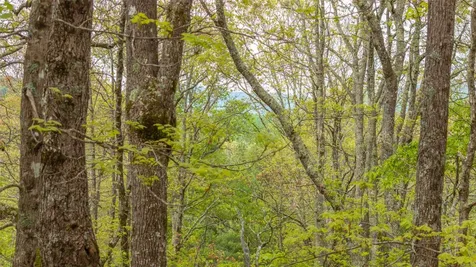 63/64 Valley View Trail Glenville NC 28736