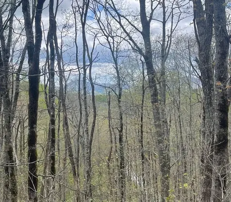 63/64 Valley View Trail Glenville NC 28736