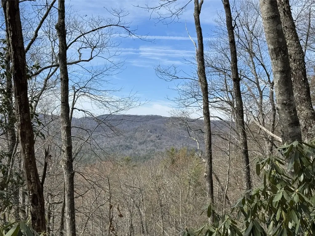 L2 Windy Gap Lane Sapphire NC 28774