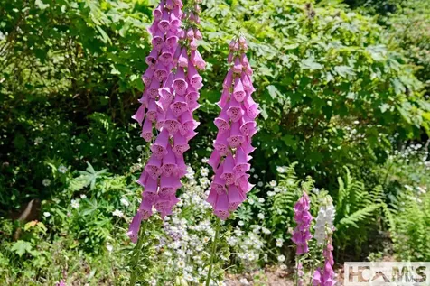 801 Split Rail Row Highlands NC 28741