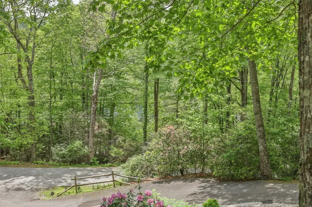 68 Golden Mist Court Sapphire NC 28774