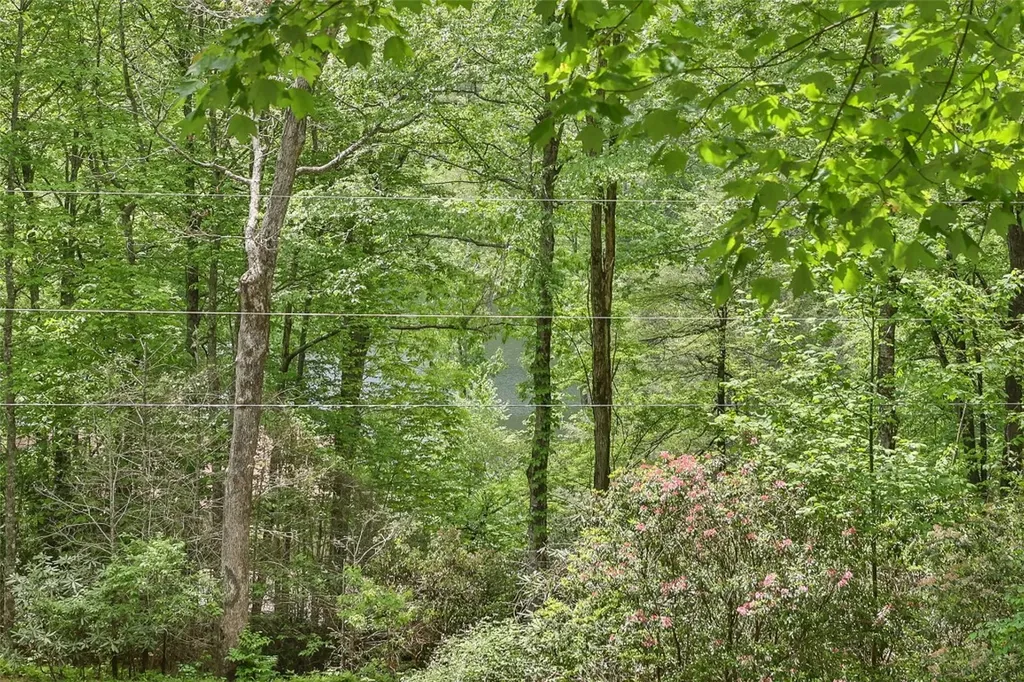 68 Golden Mist Court Sapphire NC 28774