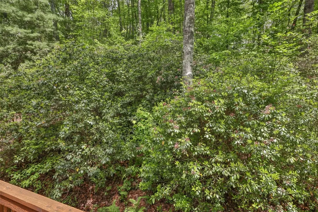 68 Golden Mist Court Sapphire NC 28774