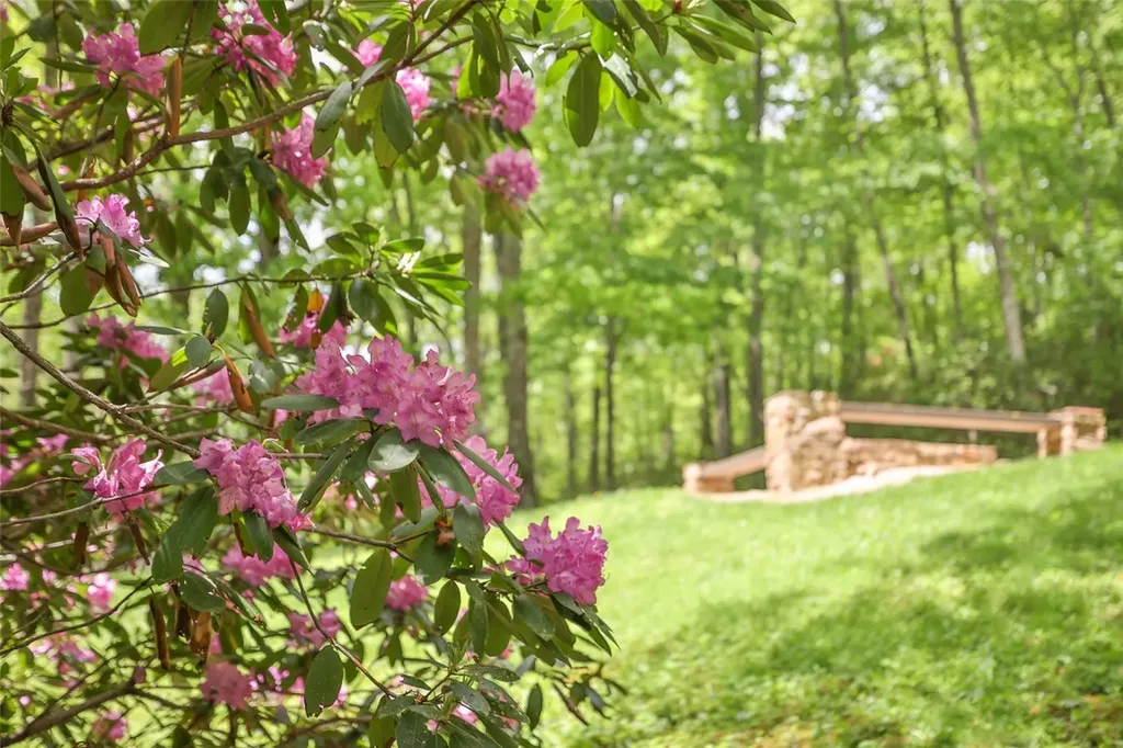 68 Golden Mist Court Sapphire NC 28774