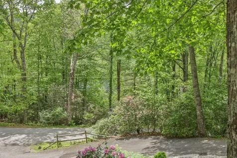 68 Golden Mist Court Sapphire NC 28774