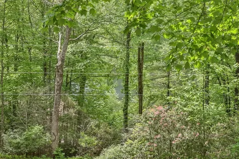 68 Golden Mist Court Sapphire NC 28774