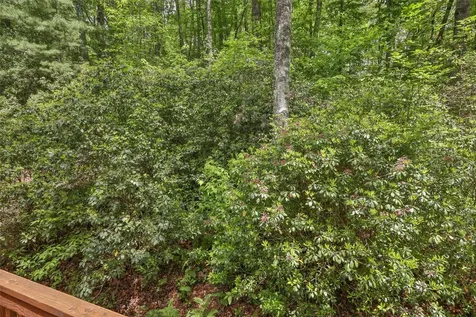 68 Golden Mist Court Sapphire NC 28774