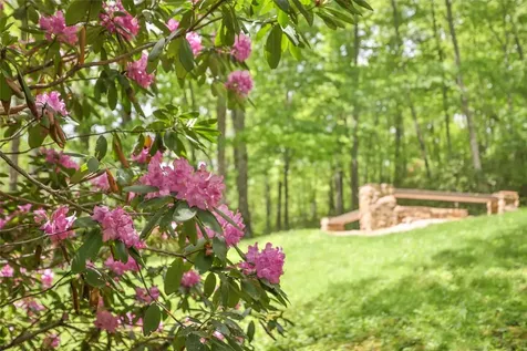 68 Golden Mist Court Sapphire NC 28774