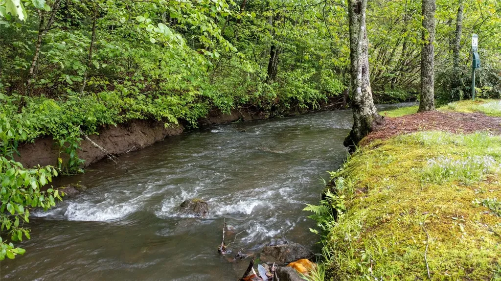 60 Bartram Trail Scaly Mountain NC 28775