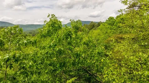 Lot 3 Carriage Lane Highlands NC 28741