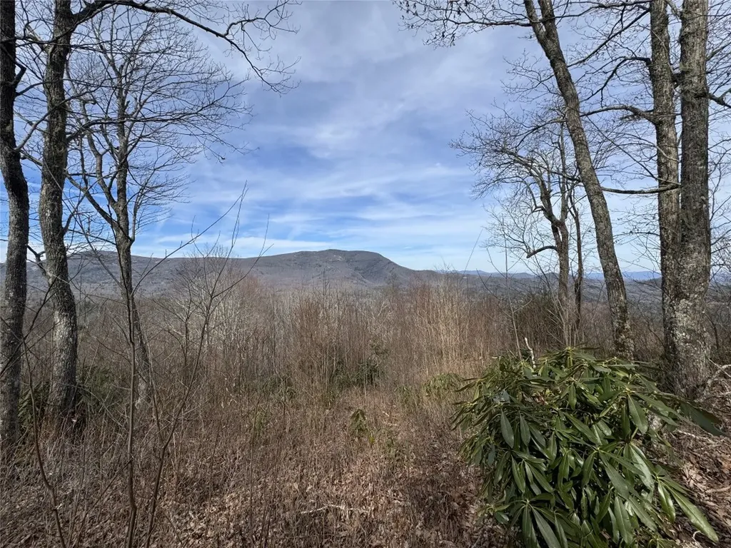 L3 Windy Gap Lane Sapphire NC 28774