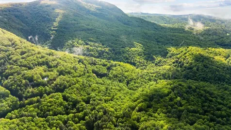 599 Tower Road Sapphire NC 28774