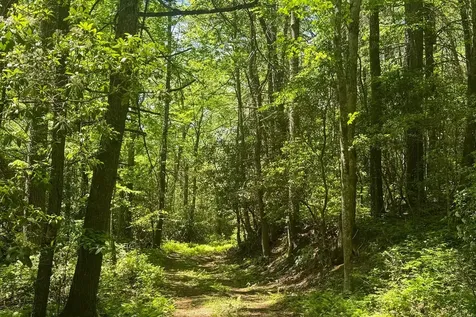 Tbd S Highway 107 Cashiers NC 28717