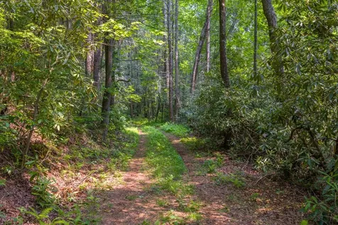 Tbd S Highway 107 Cashiers NC 28717