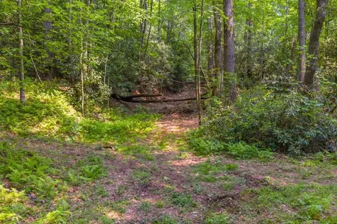 Tbd S Highway 107 Cashiers NC 28717