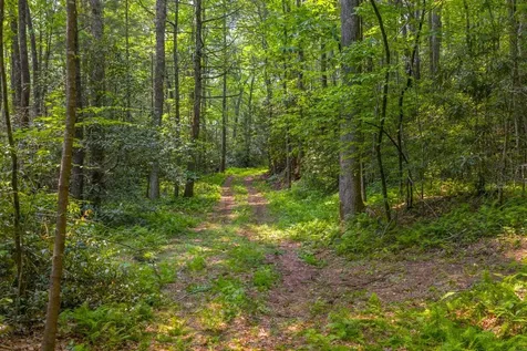 Tbd S Highway 107 Cashiers NC 28717