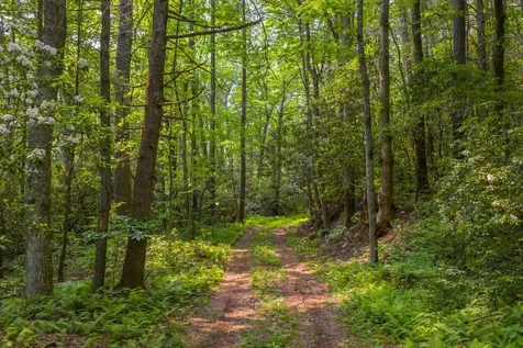 Tbd S Highway 107 Cashiers NC 28717